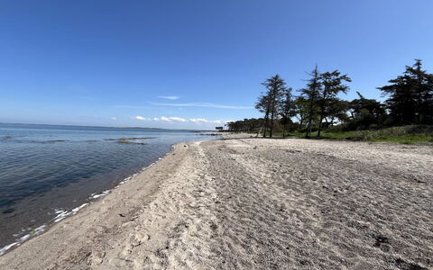 Kjell - 25M from the Sea: 