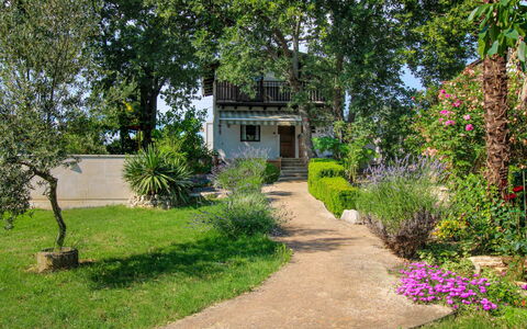 Ajla: Blad, Have, Skygge, Eco Hotel, Udendørs Møbler, Gård, Landscaping, Design
