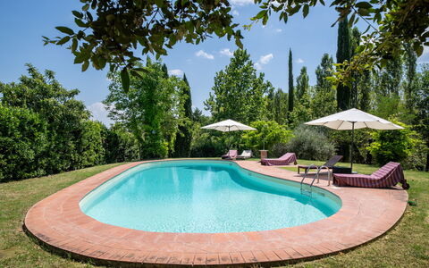 Casa La Cedrina, Pool, Lornano: Blå, Svømmepøl, Have, Skygge, Udendørs Møbler, Landscaping, Hacienda, Estate, Eco Hotel, Gård