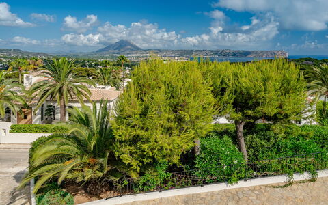 Vista Panoramica: Grøn, Blad, Vegetationen, Busk, Vedplante, Have, Landscaping, Evergreen, Tropics