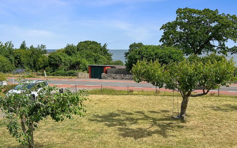 Hermine - 250M from the Sea: Blad, Vegetationen, Busk, Almindeligt, Bunddække, Have, Skygge, Vedplante, Jord