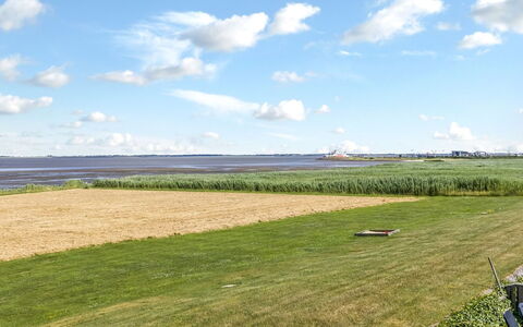 Kjera - 2.4Km from the Sea: Himmel, Blå, Grøn, Daytime, Græs, Naturligt Miljø, Sky, Græs-, Almindeligt, Horisont