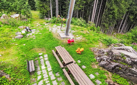 Tra le Piste: Skov, Lærk, Have, Woodland, Evergreen, Landscaping, Tropisk Og Subtropisk Nåleskov