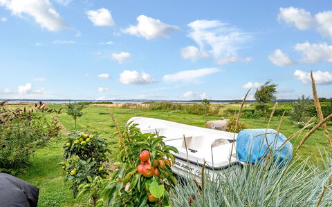 Bondi - 75M from the Sea: Græs, Græs-, Land Lot, Sommerhus, Landdistrikt, Eng, Garden Bygninger, Have, Skur