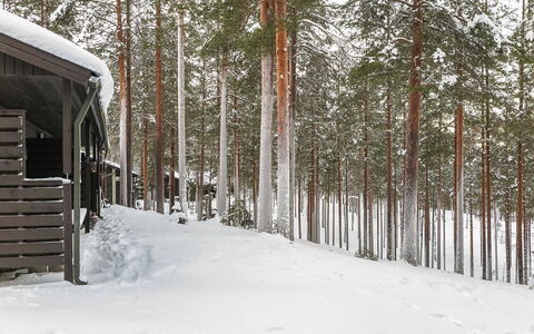 Rokua Vaulutupa: Svømmepøl, Bjergkæde, Eco Hotel, Udvej, Estate, Dal, Villa, Landscaping, Ferieby, Backyard