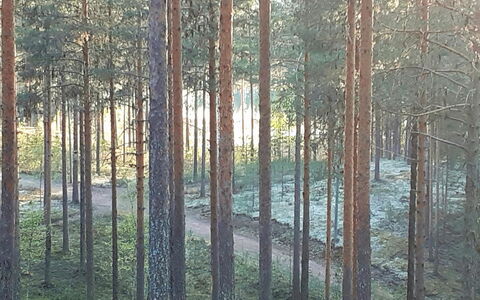 Rokua Vaulutupa: Svømmepøl, Bjergkæde, Eco Hotel, Udvej, Estate, Dal, Villa, Landscaping, Ferieby, Backyard
