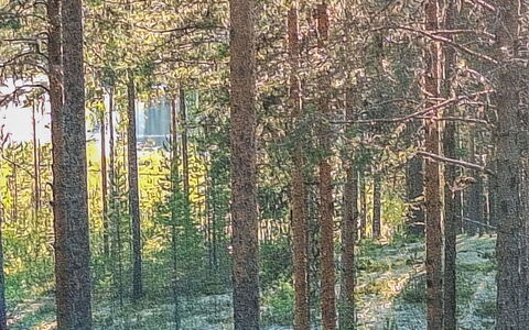 Rokua Vaulutupa: Svømmepøl, Bjergkæde, Eco Hotel, Udvej, Estate, Dal, Villa, Landscaping, Ferieby, Backyard