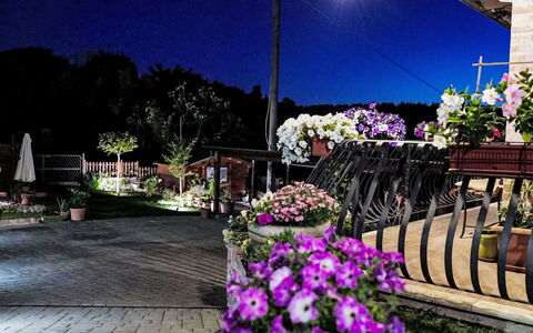 Le Rondini: Nat, Blomsterkrukke, Have, Blomsterhandlere, Midnat, Landscaping, Stueplante, Landskab Belysning, Gård
