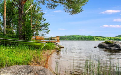 Hanhenpesä