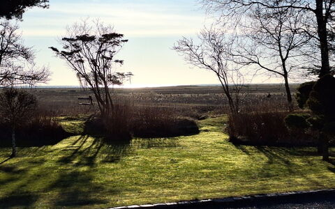 Bodulf - 850M from the Sea: Natur, Afdeling, Naturlige Landskab, Almindeligt, Bagagerum, Sollys, Morgen, Lawn, Kvist, Landscaping