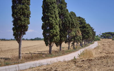Feriebolig:&nbsp;Appartamento Standard 649.3