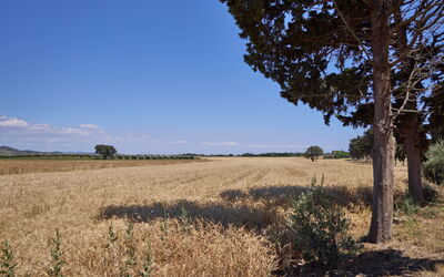 Feriebolig:&nbsp;Appartamento Standard 649.3
