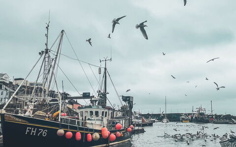 Rosehip Cottage: Båd, Vand, Vandfartøjer, Skib, Hav, Både Og Sejlsport - Udstyr Og Materiel, Skibskonstruktion, Havn, Ocean, Kanal