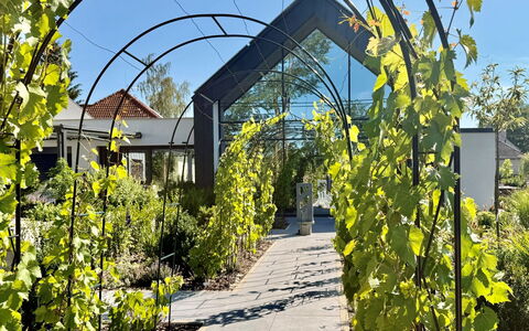 Luxury Palace with Swimming Spa&Jacuzzi: Have, Skygge, Botanisk Have, Plantation, Udendørs Struktur