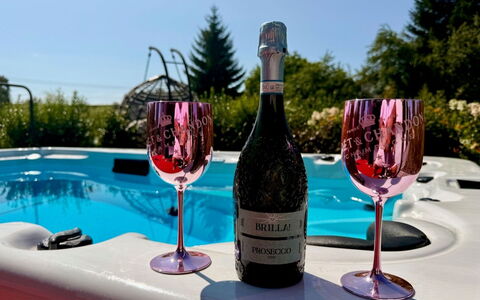 Luxury Palace with Swimming Spa&Jacuzzi: Flaske, Drinkware, Bordservice, Glas Flaske, Glasservice, Vin
