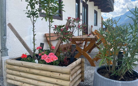 Panoramaperle: Træ, Blomsterkrukke, Stueplante, Have, Hårdttræ, Blomsterhandlere, Planke, Bejdse, Urt