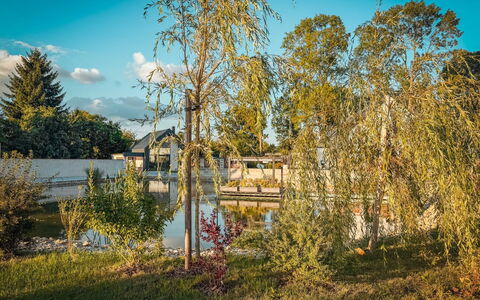 Luxury Retreat Resort: Blå, Træ, Natur, Afdeling, Blad, Afspejling, Kvist, Sollys, Morgen, Vedplante