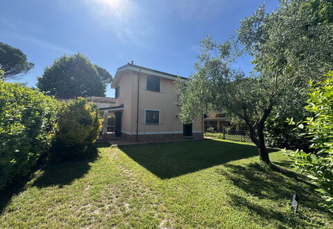 Dependance Egle: Busk, Hjem, Have, Lawn, Estate, Gård, Landscaping, Backyard, Indkørsel, Hacienda