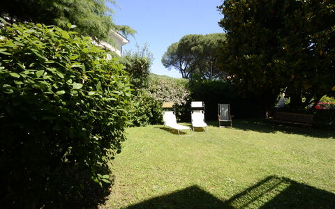 Casa Silvia: Blad, Busk, Have, Lawn, Bunddække, Backyard, Skygge, Gård, Landscaping, Hæk