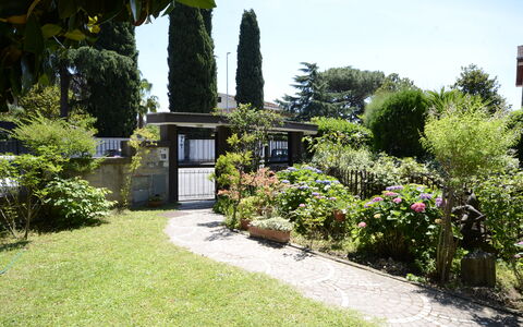 Casa Silvia: Busk, Have, Plantesamfund, Bunddække, Landscaping, Gård, Skygge, Backyard, Lawn