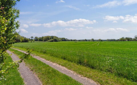 Aarni - 6.5Km from the Sea: Lejlighed, Ejerlejlighed, Estate, Altan, Villa, Hotel