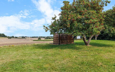 Alisa - 2.5Km from the Sea: Græs, Græs-, Land Lot, Sommerhus, Landdistrikt, Eng, Garden Bygninger, Have, Skur