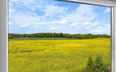 Alisa - 2.5Km from the Sea: Græs, Græs-, Land Lot, Sommerhus, Landdistrikt, Eng, Garden Bygninger, Have, Skur