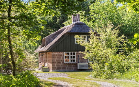Hilaria - 2.1Km from the Sea: Træ, Sommerhus, Busk, Hus, Tag, Landdistrikt, Hjem, Stuehus, Forår, Tækning