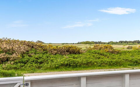 Steffan - 2.3Km from the Sea: Himmel, Grøn, Græs, Vegetationen, Sky, Økoregion, Græs-, Busk, Plantesamfund