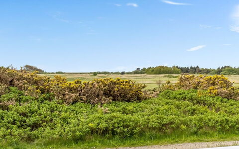 Steffan - 2.3Km from the Sea: Himmel, Blå, Grøn, Sky, Græs, Vegetationen, Græs-, Naturlige Landskab, Økoregion
