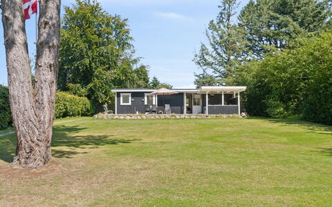 Guthfrith - 1.4Km from the Sea: Vegetationen, Busk, Forår, Sommerhus, Have, Skygge, Backyard, Gård, Stol