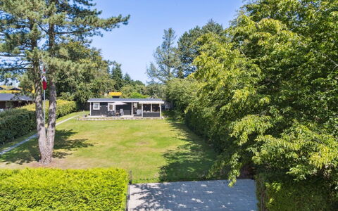Guthfrith - 1.4Km from the Sea: Vegetationen, Busk, Forår, Sommerhus, Have, Skygge, Backyard, Gård, Stol