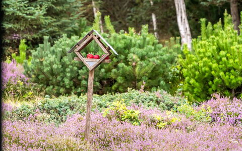 Eeske - 2.5Km from the Sea: Blå, Busk, Sommerhus, Bunddække, Have, Estate, Skygge, Landscaping, Stuehus, Eco Hotel