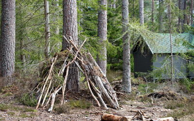Feriebolig:&nbsp;Forester'S Bothy 101.5
