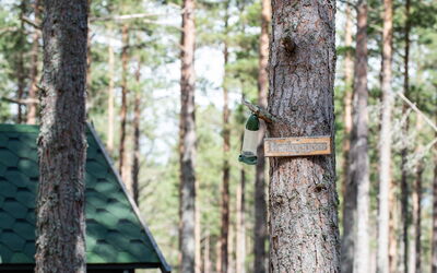 Feriebolig:&nbsp;Beekeepers Bothy 101.1