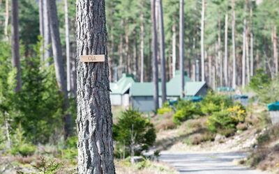Feriebolig:&nbsp;Oak Bothy 101.11