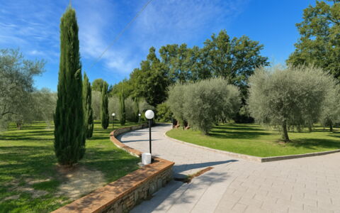 Villa Diamante: Træ, Græs, Blad, Busk, Have, Vedplante, Forår, Walkway, Parkere, Landscaping