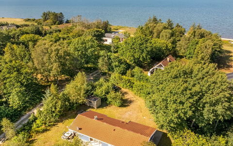 Elizabeth - 150M to the Fjord: Græs, Græs-, Land Lot, Sommerhus, Landdistrikt, Eng, Garden Bygninger, Have, Skur