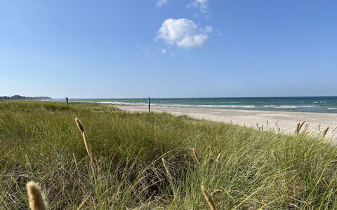 Hawarth - 275M from the Sea: Blå, Naturligt Miljø, Horisont, Kyst, Økoregion, Sommer, Hav, Coastal Og Oceaniske Landskabsformer, Kyst, Strand