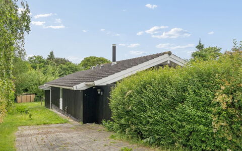 Rikhard - 175M to the Fjord: Busk, Hus, Tag, Hjem, Sommerhus, Bunddække, Have, Estate, Lawn, Indkørsel