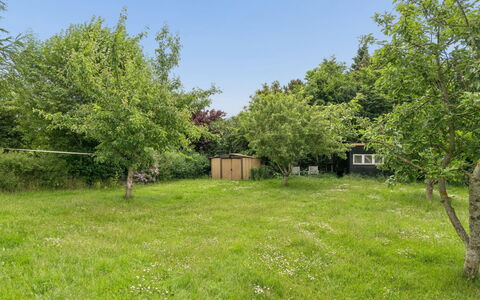Rikhard - 175M to the Fjord: Træ, Busk, Land Lot, Almindeligt, Lawn, Have, Eng, Backyard, Gård