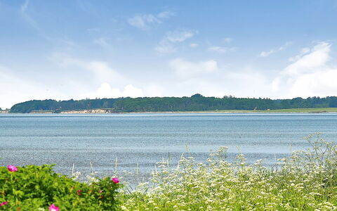 Gertje - 20M from the Sea: Blå, Busk, Sommerhus, Bunddække, Have, Estate, Skygge, Landscaping, Stuehus, Eco Hotel