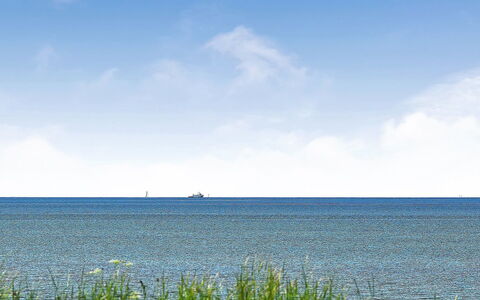 Gertje - 20M from the Sea: Blå, Busk, Sommerhus, Bunddække, Have, Estate, Skygge, Landscaping, Stuehus, Eco Hotel
