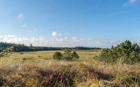 Anneka - 750M from the Sea: Himmel, Blå, Sky, Naturligt Miljø, Græs, Græs-, Vegetationen, Naturlige Landskab, Økoregion, Almindeligt