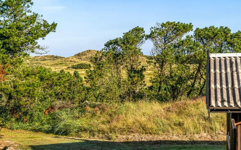 Anneka - 750M from the Sea: Himmel, Blå, Græs, Grøn, Vegetationen, Naturlige Landskab, Græs-, Økoregion, Busk