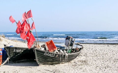 Haus 207: Båd, Vandfartøjer, Strand, Både Og Sejlsport - Udstyr Og Materiel, Sand, Hav, Kyst, Kyst, Ocean, Fritid