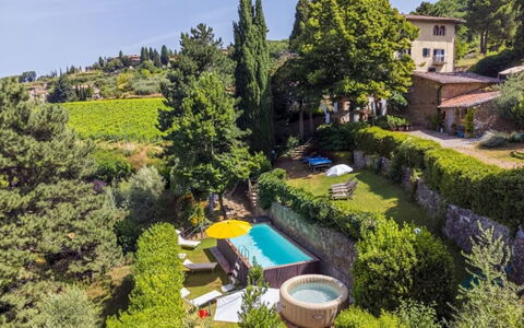 Ridaldi: Landskab, Land Lot, Plantation, Pine Family, Evergreen