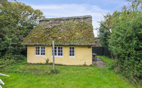 Thorfrid - 1Km from the Sea: Tækning, Tag, Hus, Sommerhus, Landdistrikt, Land Lot, Hytte, Cob, Landsby, Skur