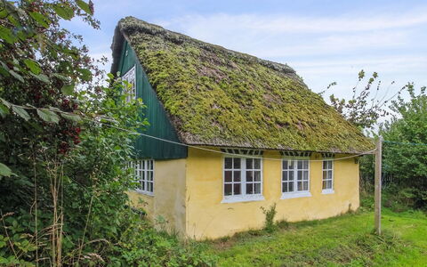 Thorfrid - 1Km from the Sea: Grøn, Græs, Tækning, Gul, Tag, Hus, Sommerhus, Landdistrikt, Land Lot, Landsby