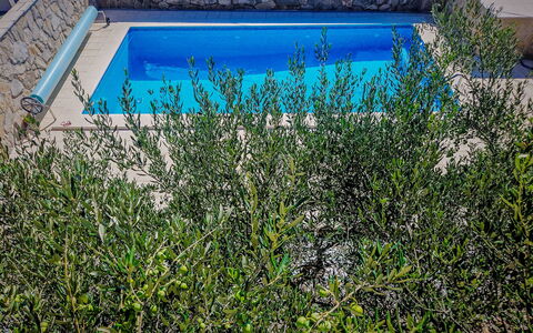 Palada: Busk, Have, Skygge, Svømmepøl, Backyard, Landscaping, Hegn